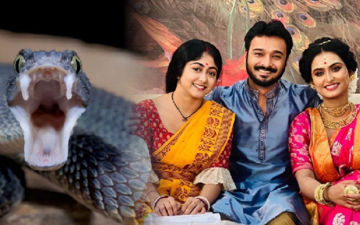 Ponchomi: চিত্রা হোক বা পঞ্চমী কিঞ্জলের মিলন যার সঙ্গেই হোক, সেই সন্তান হবে নাগিন! আসছে আবার নতুন এক নায়িকা! দারুন প্পট টুইস্ট 1 ponchomi