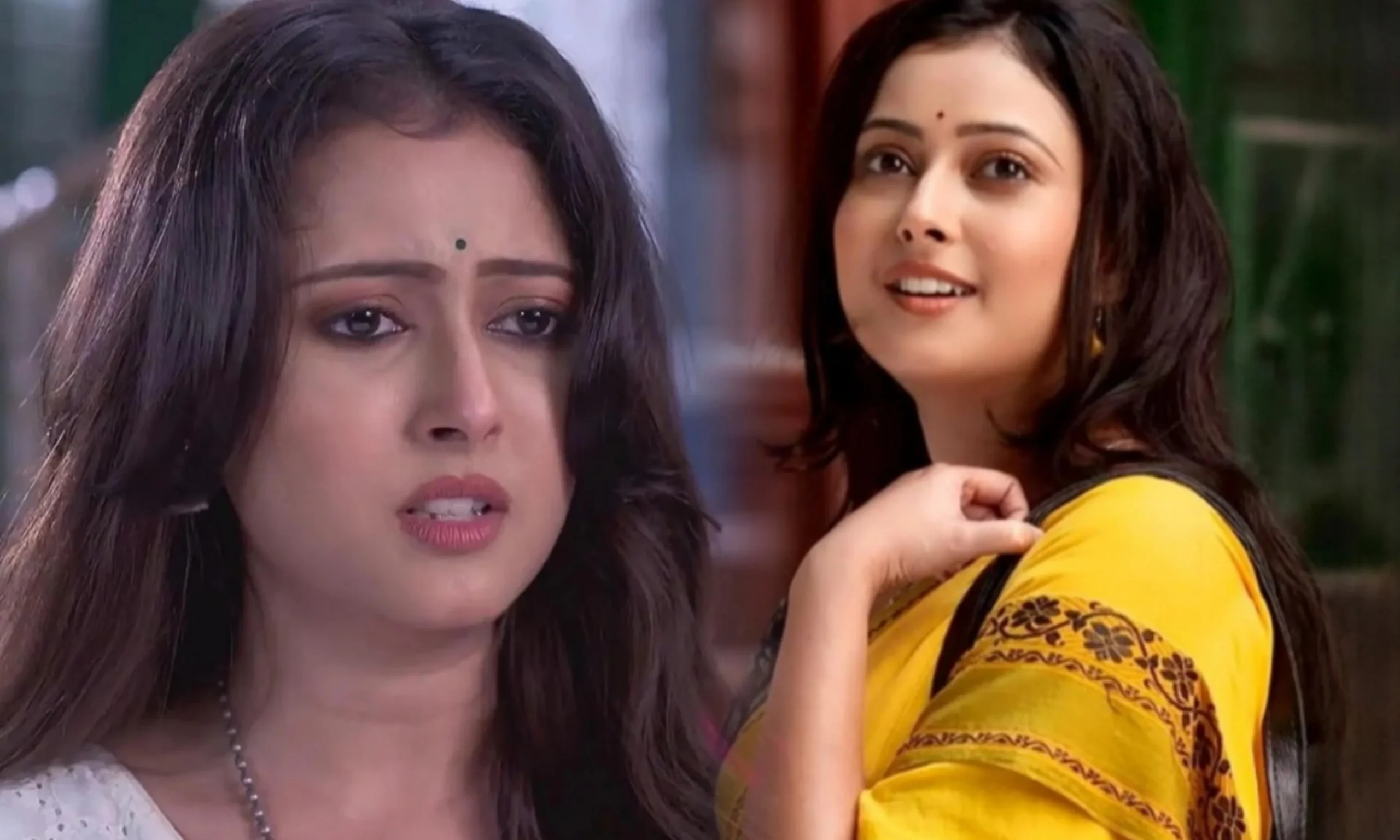 pallavi sharma monthly income