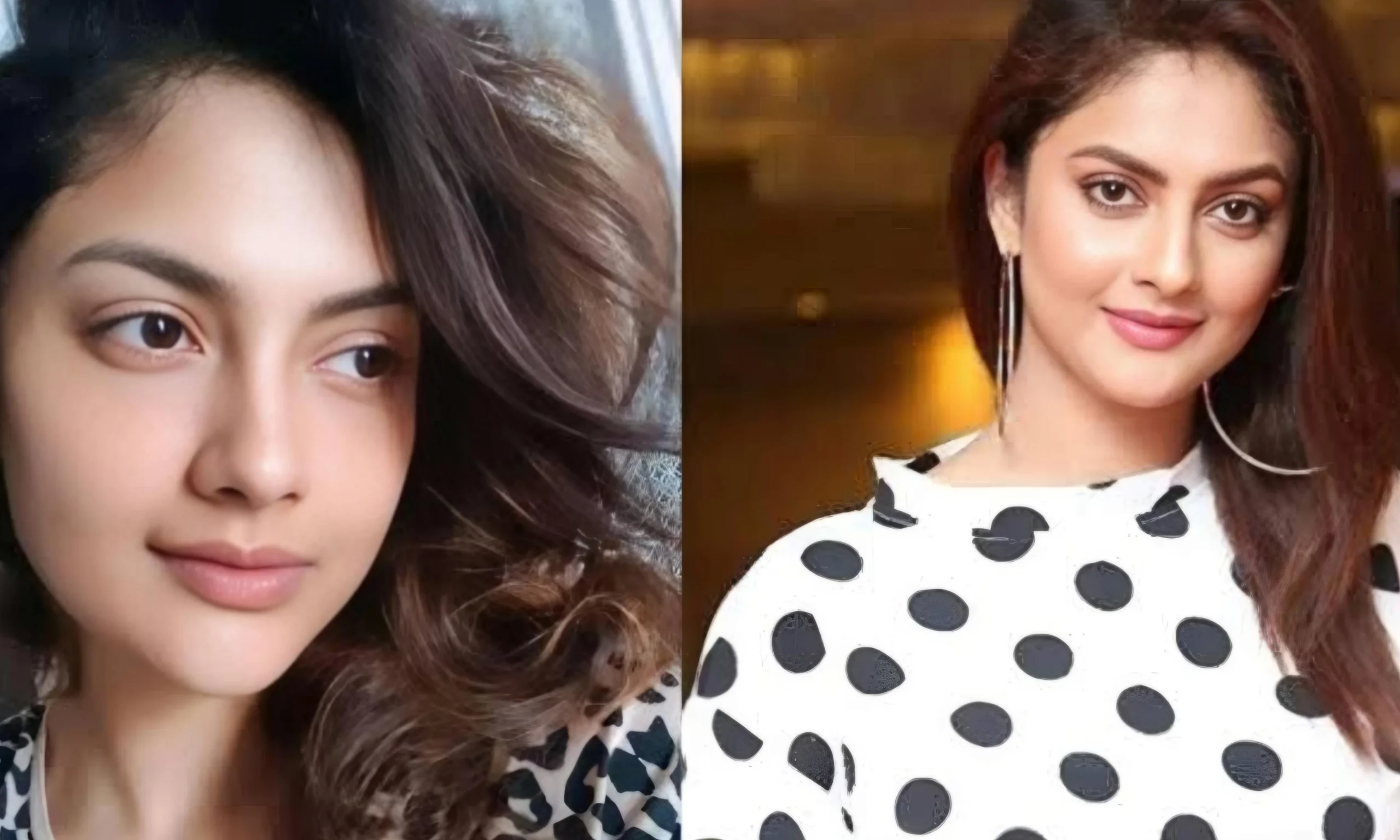 sairity is actual warrior said Aparajita adhya