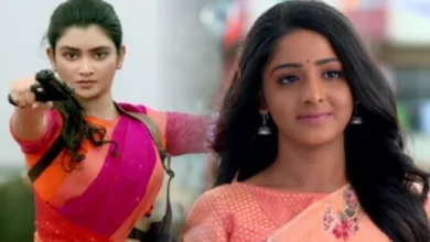 Zee Bangla Jagaddhatri Serial and Star Jalsha Anurager Chhowa Getting popular day by day