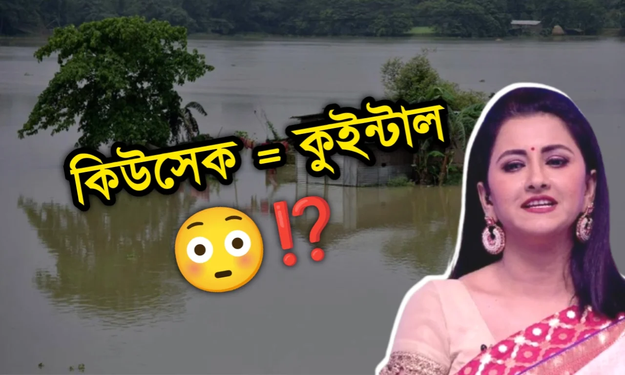 actress-rachana-banerjee-comment-on-hooghly-flood-starts-a-new-controversy-2