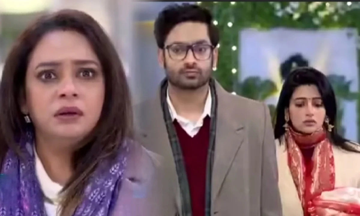 শুভলক্ষ্মী কি আদৃতের মায়ের মন জয় করতে পারবে? গল্পে চমকপ্রদ মোড়! 1 Grihoprobesh