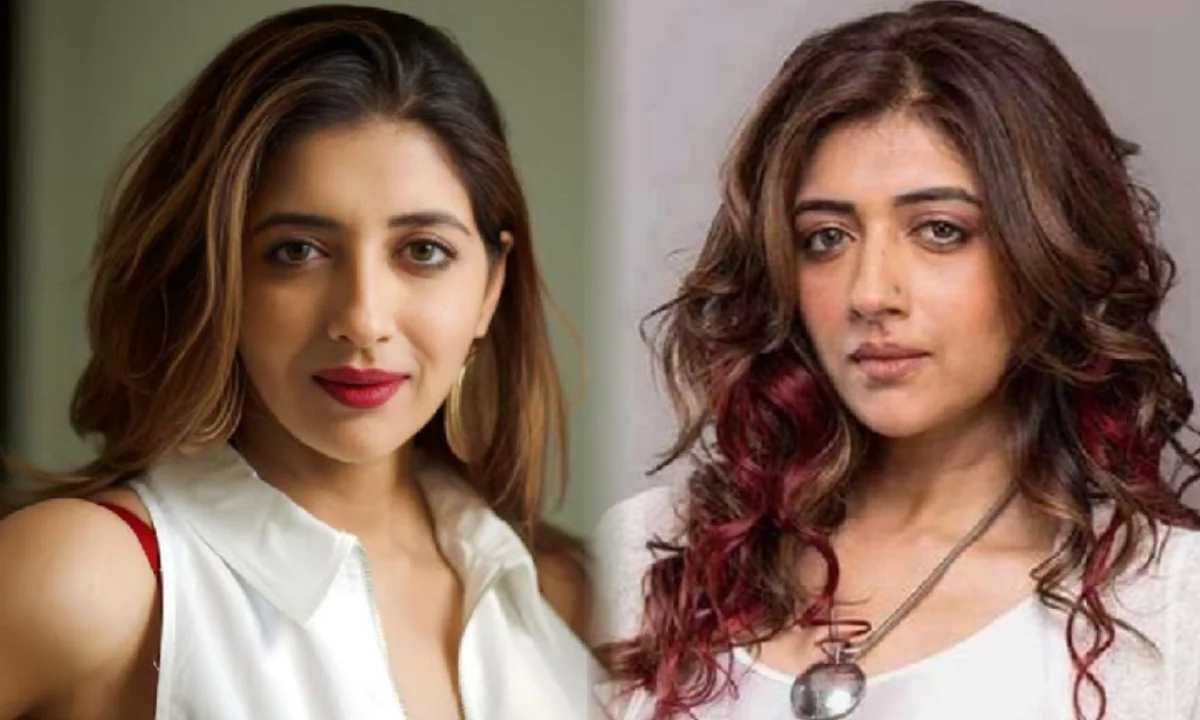 শ্রীনন্দা শংকর, Shankar Family Controversy Me Too Allegations