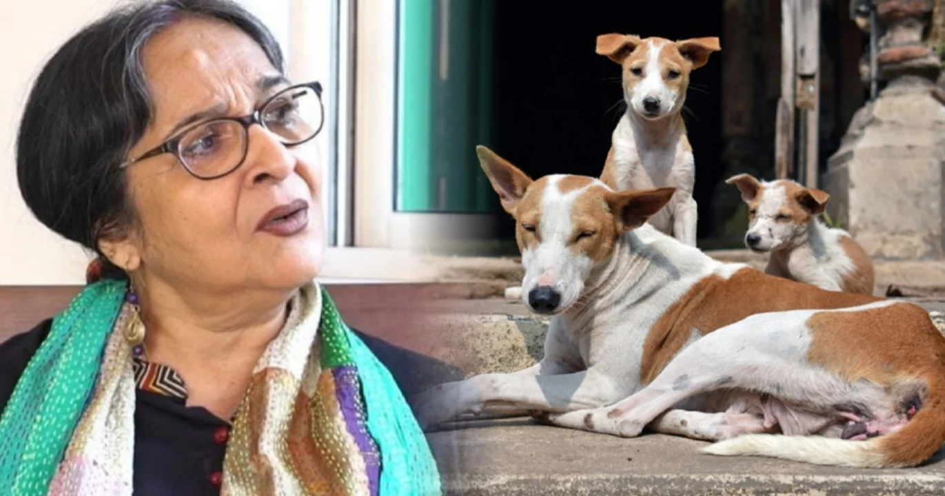 "আমি এতদিন যা বলেছি ঠিক বলেছি...কোনও আক্ষেপ নেই, আবারও বলব!" "আজকাল কেউ কু'কুরকে "কু'কুর" বললেও লোকে তেড়ে আসে!"— দীর্ঘদিনের বিতর্ক নিয়ে অকপট মমতা শঙ্কর! সমালোচনার জবাবে মুখ খুলতেই ফের জড়ালেন নয়া বিতর্কে! 1 Mamata Shankar Responds Boldly To On-going Controversies With Her Clear Opinions