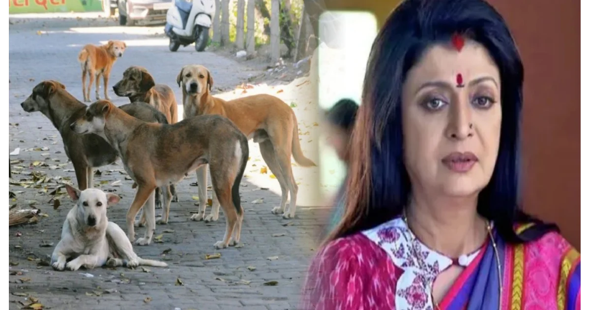 "যদি একজন রে'প করে, তাহলে সব মানুষই রে'প করবে...সবাইকে তুলে নাও!" "পৃথিবীটা সবার, শুধু মানুষ থাকবে আর কেউ না, এটা অন্যায্য দাবি!" প্রকৃতির প্রতি নিষ্ঠু'রতা, পথকুকুরদের ভবিষ্যৎ নিয়ে ক্ষোভে ফেটে পড়লেন দেবশ্রী রায়! সুপ্রিম কোর্টের সিদ্ধান্তকে নিয়ে রীতিমতো তোপ দাগলেন অভিনেত্রী! 1 Actress Statement