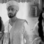 স্বস্তিকা দত্ত, প্রোফেসর বিদ্যা ব্যানার্জি, স্টার জলসা, রাজরাজেশ্বরী রাণী ভবানী, অর্ণব বন্দ্যোপাধ্যায়, গৌরব চট্টোপাধ্যায়, শোলাঙ্কি রায়, শুভ বিবাহ, টিআরপি, নতুন ধারাবাহিক, Bengali television, Swastika Dutta, Professor Vidya Banerjee, Star Jalsha, Rajarajeswari Rani Bhawani, Arnab Banerjee, Gourab Chatterjee, Solanki Roy, Shubho Bibaho, TRP, Bengali serial, comeback, entertainment news