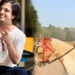 Dev, Tollywood, Indian Postal Service, Commemorative Stamp, Ghatal Festival, Bengali Cinema, Actor and MP, Social Work, Career Recognition, দেব, টলিউড, ভারতীয় ডাকবিভাগ, ডাকটিকিট, ঘাটাল উৎসব, বাংলা সিনেমা, অভিনেতা ও সাংসদ, সামাজিক কাজ, কেরিয়ারের স্বীকৃতি