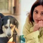 শেফালি শাহ, শেফালি শাহ সাক্ষাৎকার, বলিউড অভিনেত্রী, বিয়ে নিয়ে মন্তব্য, সম্পর্কের পরামর্শ, শেফালির বক্তব্য, বলিউড খবর, পোষ্য কুকুর, টিভি ইন্ডাস্ট্রি, সেলিব্রিটি সাক্ষাৎকার,Shefali Shah, Shefali Shah Interview, Bollywood Actress, Marriage Advice, Relationship Tips, Shefali Shah Statement, Bollywood News, Pet Dogs, TV Industry, Celebrity Interview