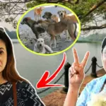 sreelekha mitra speaks out on agnimitra paul rabindra sarobar dogs ban